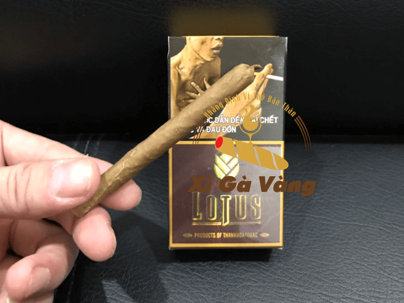 Xì gà Lotus Club có kích thước tương đối nhỏ